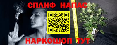 крисы Балаково