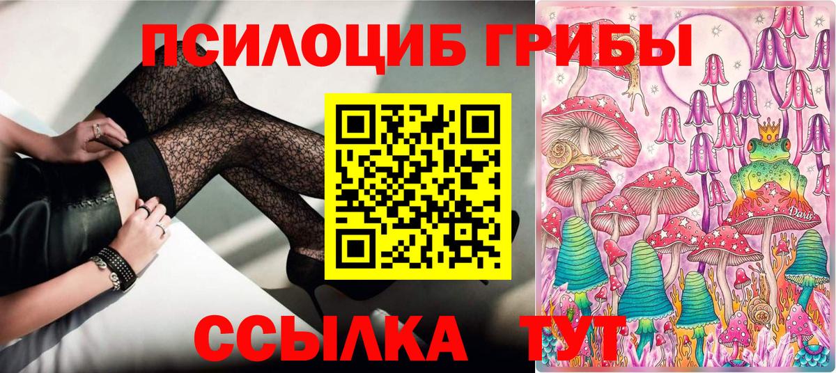 Галлюциногенные грибы Psilocybine cubensis Воскресенск