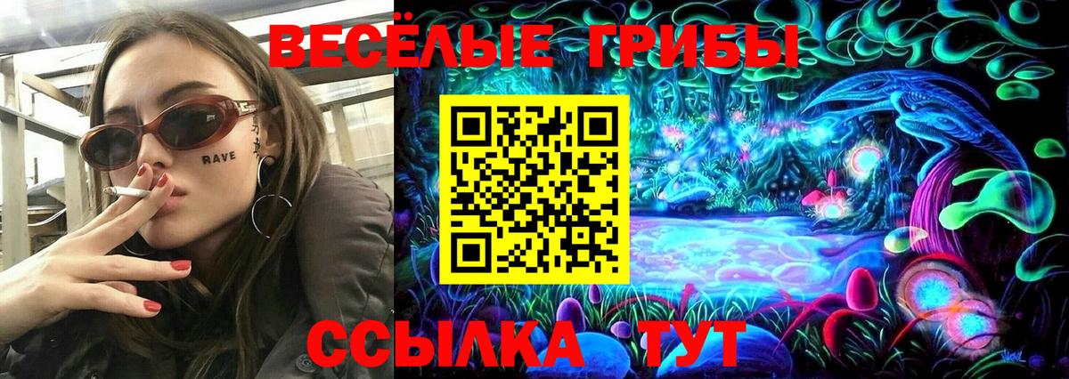 Воскресенск  продажа наркотиков  Галлюциногенные грибы ЛСД  Вход с VPN  Галлюциногенные грибы Psilocybe 